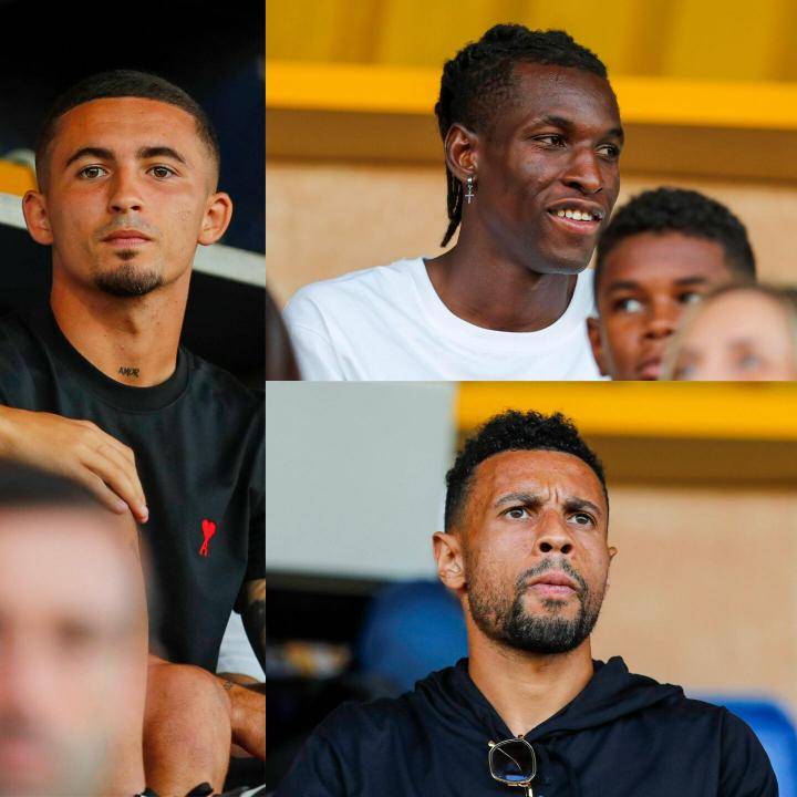 荷兰队完美 荷兰队完美